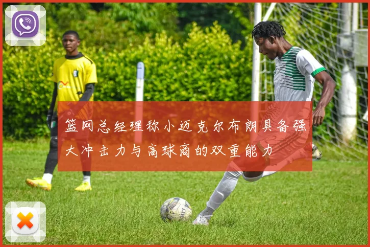 篮网总经理称小迈克尔布朗具备强大冲击力与高球商的双重能力